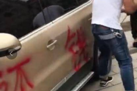 平果要账公司更多成功案例详情